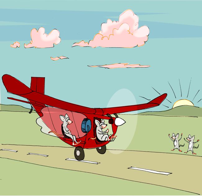 Kinderbuch Illu. Mäuse fliegen in einem roten Flugzeug. Sie setzen zur Landung an.